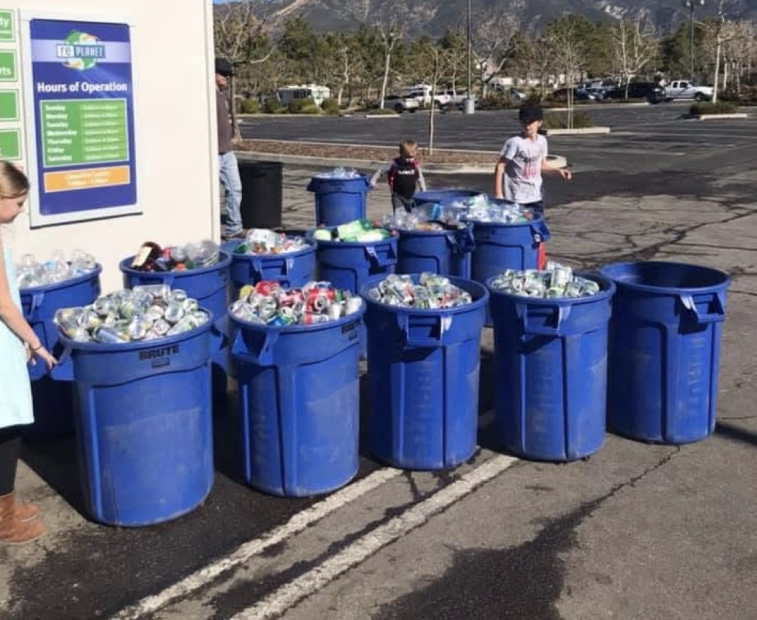 Large collection of recycling bins ready for donation